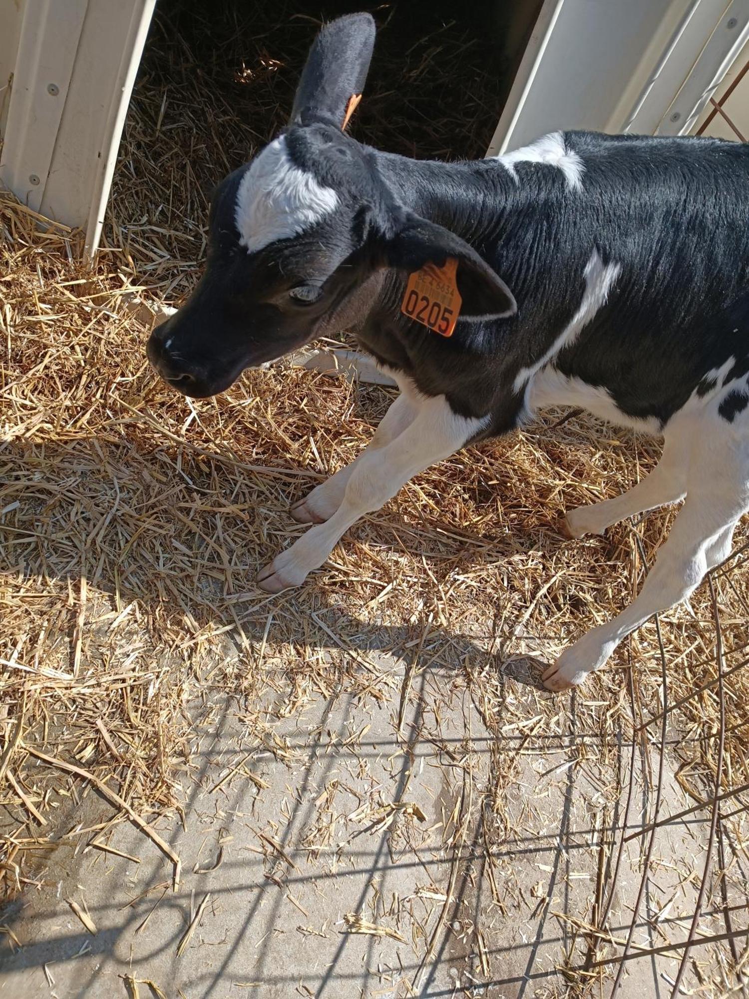 Gite Ferme D'Hurtaux Froid-Chapelle Εξωτερικό φωτογραφία